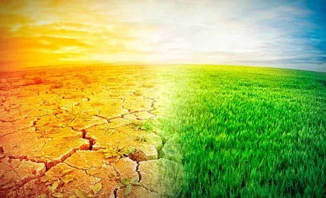 Глобальне потепління може обвалити світову економіку на 40%