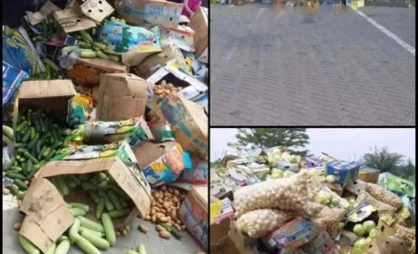 Тонни овочів гниють на рашистських блокпостах