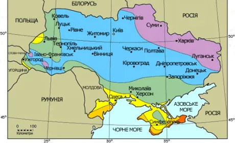 Чандлер в Україні: міф чи реальність, очима експертів горіхової галузі