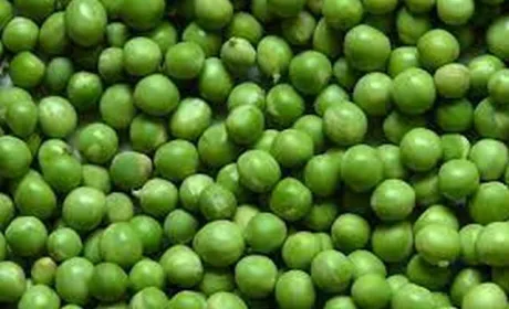 Китай зацікавився українським горохом та іншою агропродукцією