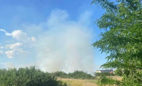 Через необережне поводження з вогнем на Одещині горять фруктові сади