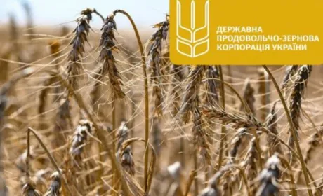 Нардепка закликала створити ТСК для розслідувань корупційних афер ДПЗКУ