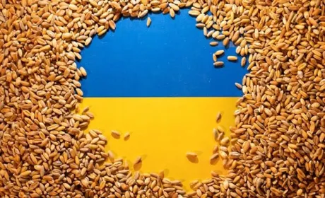 Україна в рамках ініціативи Grain from Ukraine готує відправлення до країн Африки ще 30 тис. тонн зерна