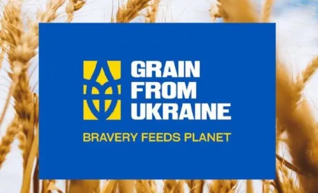 Уряд виділив кошти на фінансування ініціативи Президента Grain from Ukraine