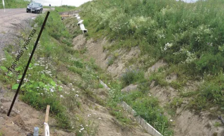 Агрофірму з Буковини звинувачують у самовільному захопленні землі