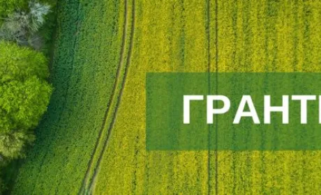 Аграрії півдня отримають гранти від проєкту UHBDP