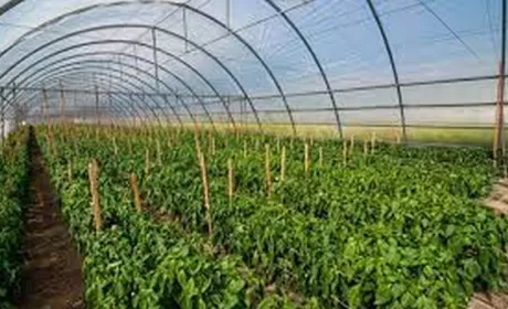 Ще 24 господарства отримали грантів на 68 млн грн
