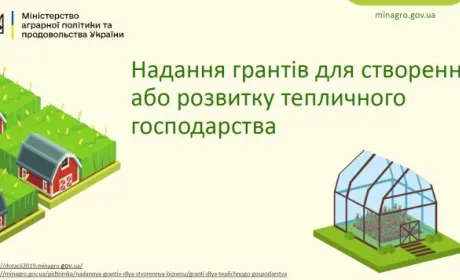 Механізми надання грантів для садівництва та тепличного господарства, – відео