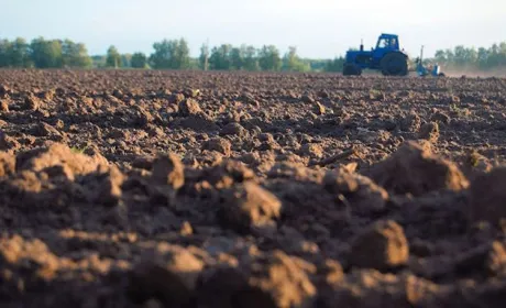 Коли чекати економічного ефекту від відкритого ринку землі — пояснює міністр