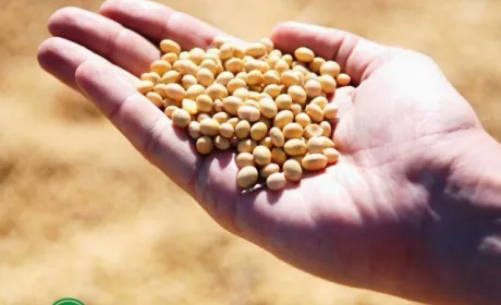 Група АГРОТРЕЙД сертифікує продукцію для продажу в ЄС