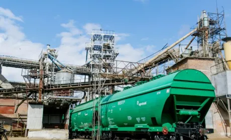 У 2022 році Група АГРОТРЕЙД експортувала майже 500 тисяч тонн зерна