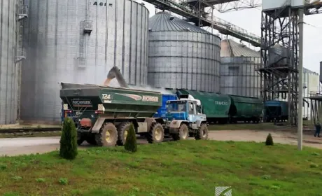 Елеватори Групи АГРОТРЕЙД виконали план заготівлі майже на 50%