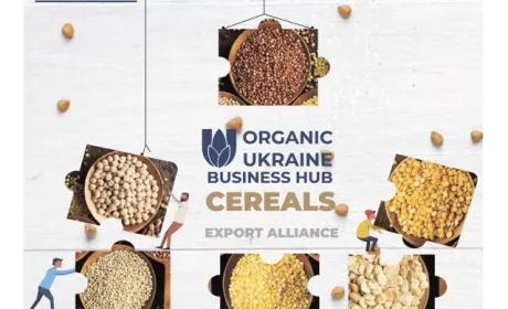 В Україні створили перший органічний експортний альянс