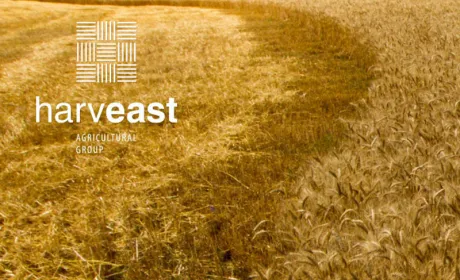 HarvEast робить ставку на бобові