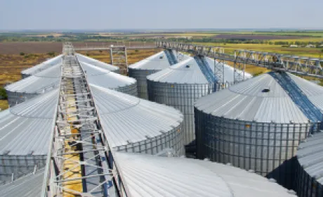 Новий термінал MV Cargo почав завантаження силосів зерном