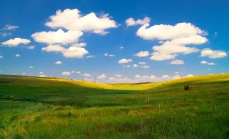Сільрада на Миколаївщині передала заповідні землі у приватну власність