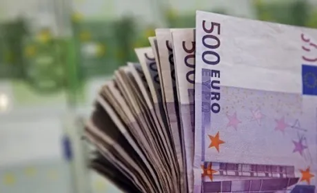 На Закарпатті шахрай видурив у італійця 270 тис. євро для придбання землі