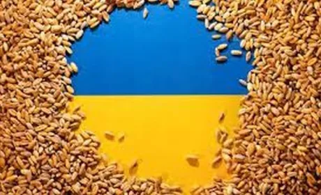 П'ять країн ЄС благають Єврокомісію врятувати їх від української агропродукції