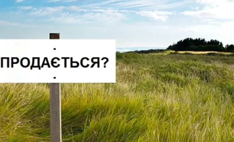 Відкриття ринку земель сільгосппризначення позитивно вплине на стан ґрунтів, - Українська аграрна конфедерація