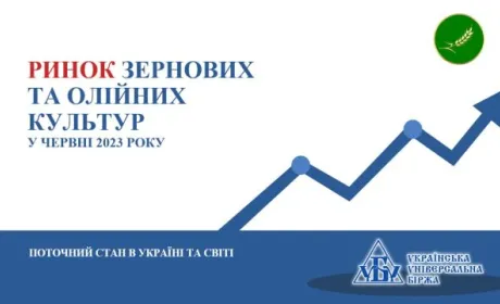 Підсумки червня на ринку зернових та олійних