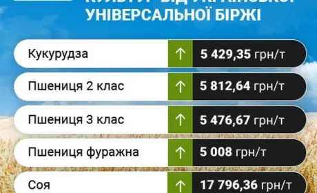Проміжні підсумки цінових індикативів