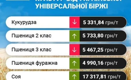 Цінові індикативи зернових та олійних за минулий тиждень