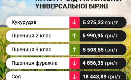 Тренд ринку за минулий тиждень на зернові та олійні