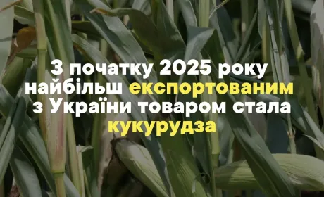 За січень-лютий 2025 року найбільш експортованим з України товаром стала кукурудза
