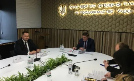 Нові прямі дотації для фермерів: як скористатися