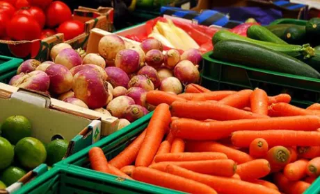 У І кварталі 2018 року оборот торгівлі агропродукцією між Україною та ЄС склав 2,6 млрд дол. США, – Інститут аграрної економіки