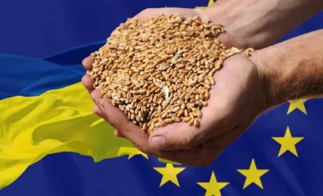 Заборону імпорту українського продовольства до 5 країн ЄС ймовірно продовжать