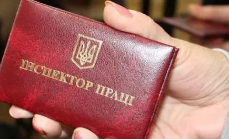 За незадекларовану працю двох робітників агропідприємство сплатило 120 000 грн штрафу
