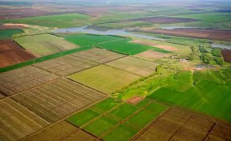 В Україні лише в одній області завершено інвентаризацію землі, — Держгеокадастр