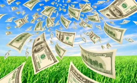 Чотири варіанти інвестицій в агросектор