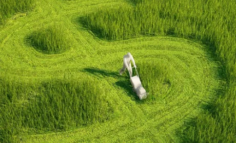 Створена платформа зі сталого агробізнесу – Sustainable Agribusiness Forum (SAF Україна)