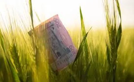 На AgroInvestDay розкажуть про актуальні тенденції та ризики інвестування в агросектор України