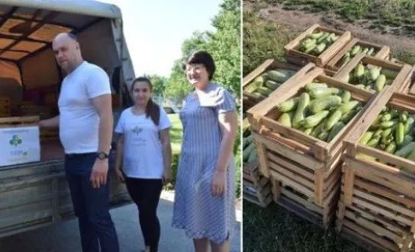 На Чигиринщині вирощують овочі для ЗСУ