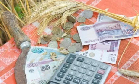 Капіталовкладення в АПК в 2016 році не перевищили показник 2008-го, - експерт