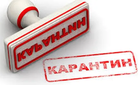 Карантинні сертифікати всередині країни тепер не обов'язкові