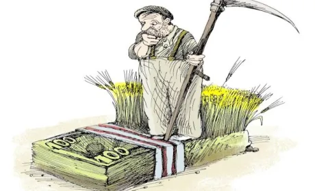 Сировину на експорт — за копійки, а для своїх — утридорого