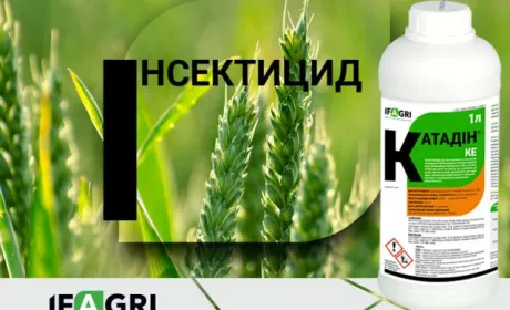 Компанія «Ерідон» презентує на українському ринку інноваційний інсектицид Катадін