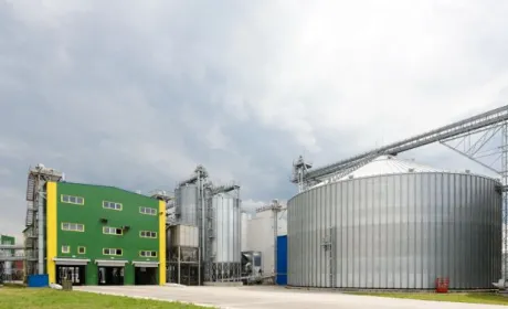 Дві агрокомпанії ввійшли в топ переробних підприємств України