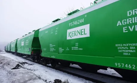 «Кернел» першим в історії України експортував 8 млн тонн зернових культур