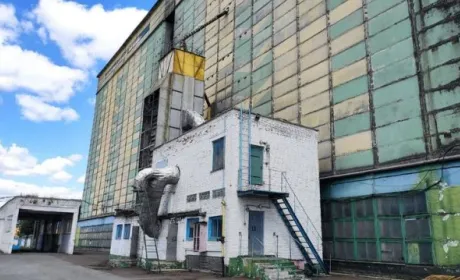Як приватизація врятує державні комбінати хлібопродуктів