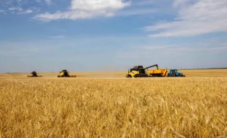 На Київщині зібрали понад мільйон тонн зернових