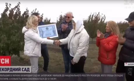 Найбільший кизиловий сад Європи розташований в Україні