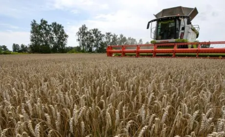 У проблемах європейських фермерів винна не Україна, – Микола Сольський