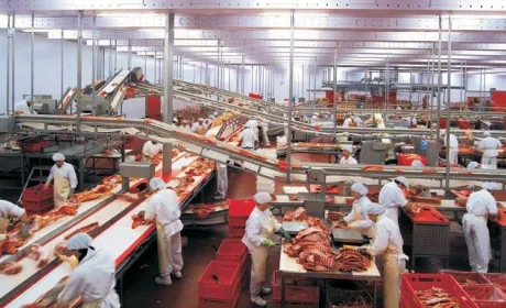 На Чернігівщині побудують м'ясокомбінат