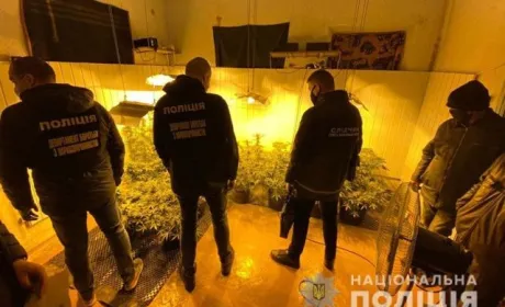 На Хмельниччині працівники поліції викрили наркоділка, який вирощував елітну коноплю