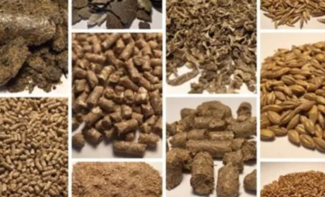 В уряді обіцяють стабільність імпортних поставок харчових продуктів і кормів